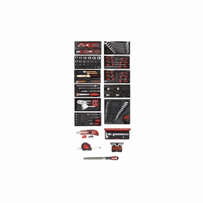 Gedore R21010002 Tool set 11xCT Modules  var.Tools 166pcs