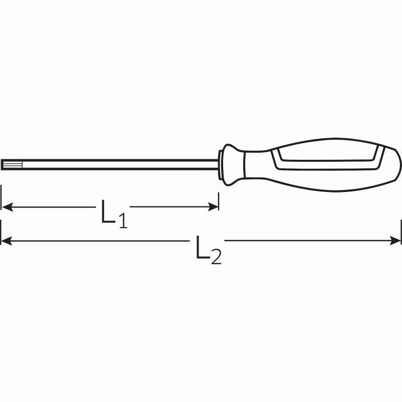 Stahlwille 46363002 4636 DRALL  #2 x 100mm Torq-Set Screwdriver