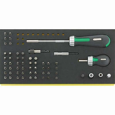Stahlwille 96838773 TCS 4008/8/52 1/4" Drive TCS, 60 Pcs