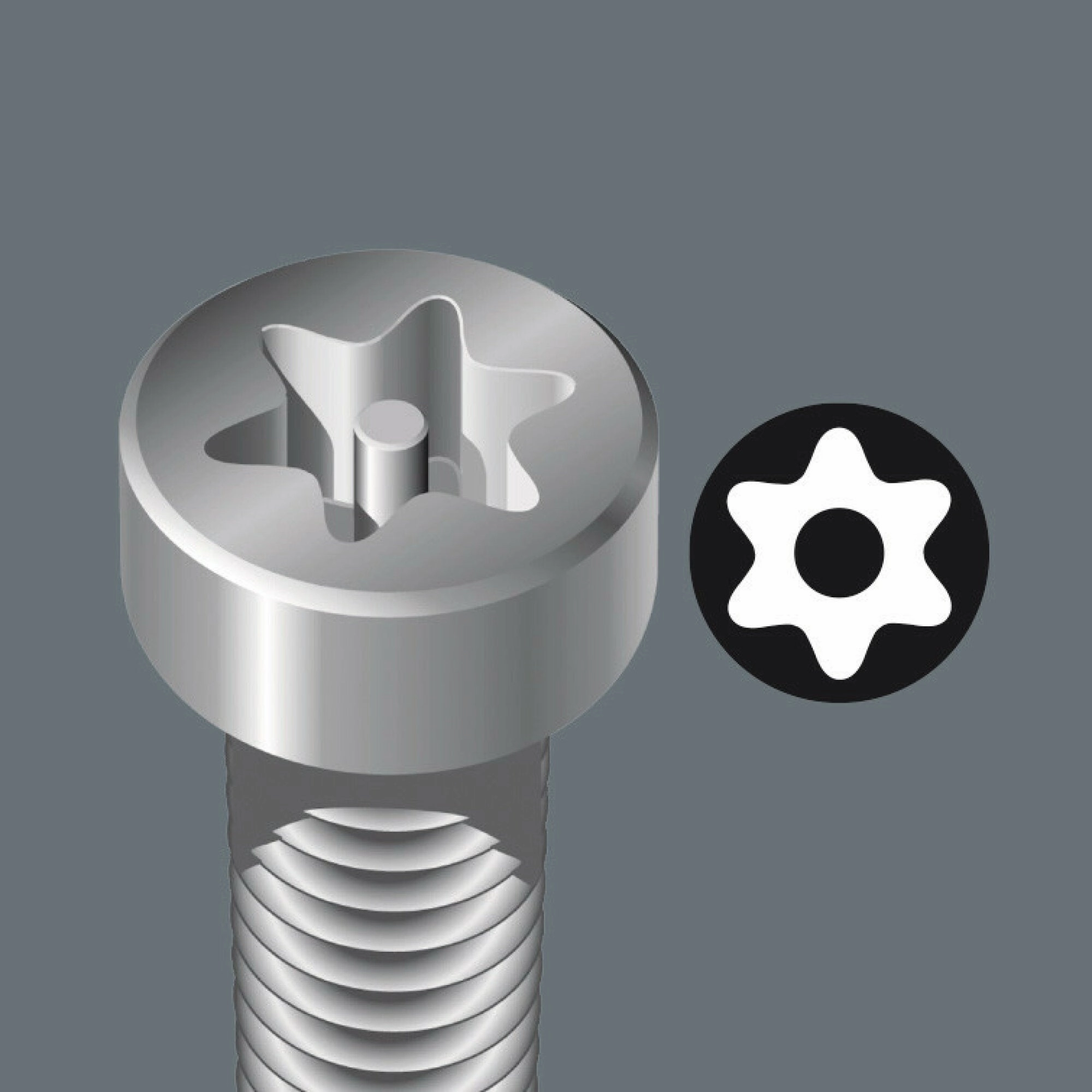 Wera 867/4 Z TORX BO bits with bore hole, TX 25 x 89 mm